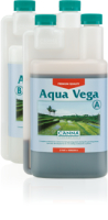 Aqua Vega