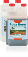 Aqua Flores
