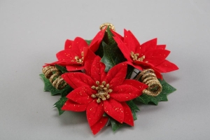 Poinsetia