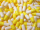 Gelatinekapseln gelb / weiß - Größe 1 - 10.000 Stück