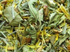 QUELLE DES GLÜCKS - Kräuter-Tee - im Tea Caddy (100g)
