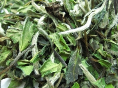 CHINA PAI MU TAN STD 6900 - grüner Tee - im Tea Caddy (250g)
