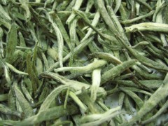 CHINA YIN ZHEN (SILVER NEEDLE) - grüner Tee - im Tea Caddy (250g)