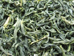 TAIWAN PI LO CHUN - grüner Tee - im Tea Caddy (500g)