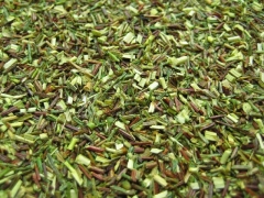 PEACH NECTAR - grüner Rooibusch-Tee - im Tea Caddy (500g)