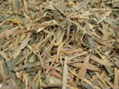 LAPACHO** - Tee - im Tea Caddy (500g)
