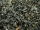 ASSAM GOLDEN FLOWERY ORANGE PEKOE - schwarzer Tee - in einer Black Jap Dose eckig (Teedose) - 147x147x214mm (1 Kilo)