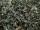 ASSAM GOLDEN FLOWERY ORANGE PEKOE - schwarzer Tee - in einer Black Jap Dose eckig (Teedose) - 77x77x100mm (75g)