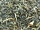 FORMOSA SUPER FANCY OOLONG „SCHWARZER DRACHE“ - schwarzer Tee - in einer Black Jap Dose eckig (Teedose) - 77x77x100mm (75g)