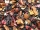WALDFRUCHT - Früchtetee - in einer Black Jap Dose eckig (Teedose) - 77x77x100mm (75g)