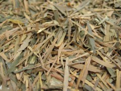 LAPACHO** - Tee - in einer Black Jap Dose eckig (Teedose) - 77x77x100mm (75g)