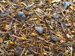 Kalahari - Aromatisierter Rooibusch Tee