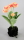 BELLIS MIT ERDE